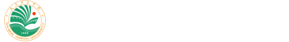云顶国际